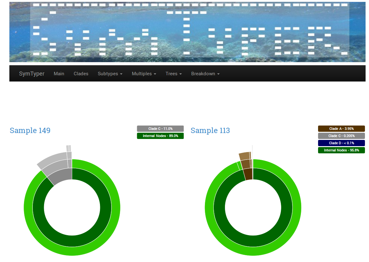 Subtypes view