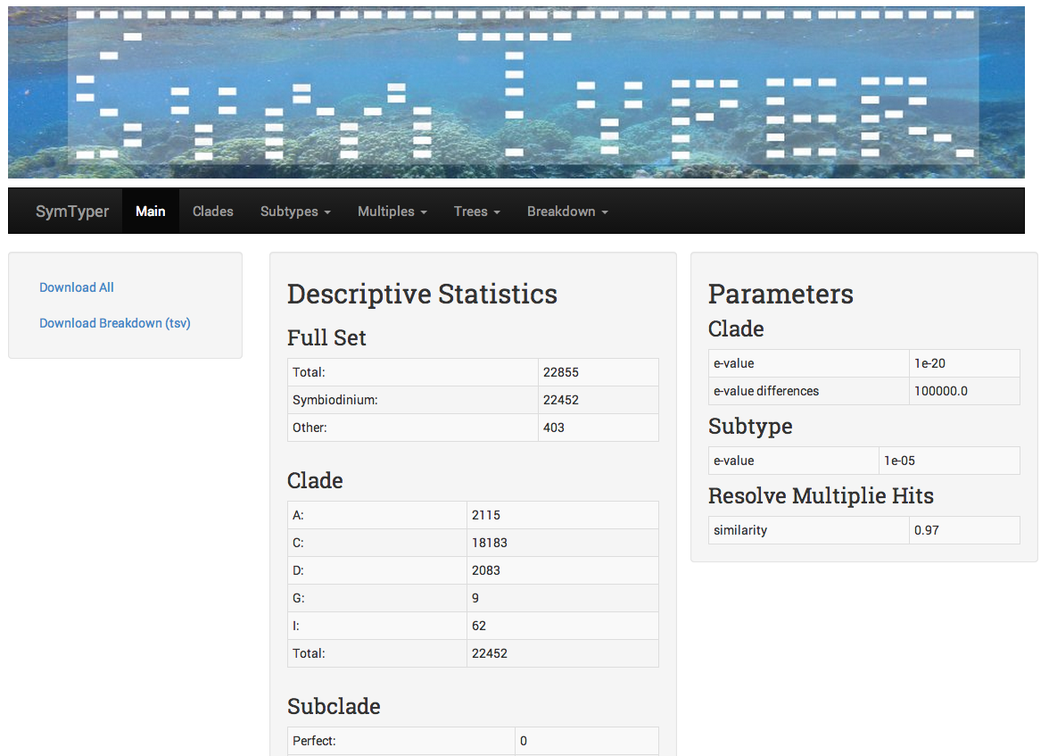 SymTyper Results Main Screen